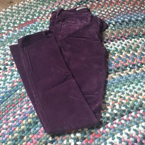 AG Purple Corduroys